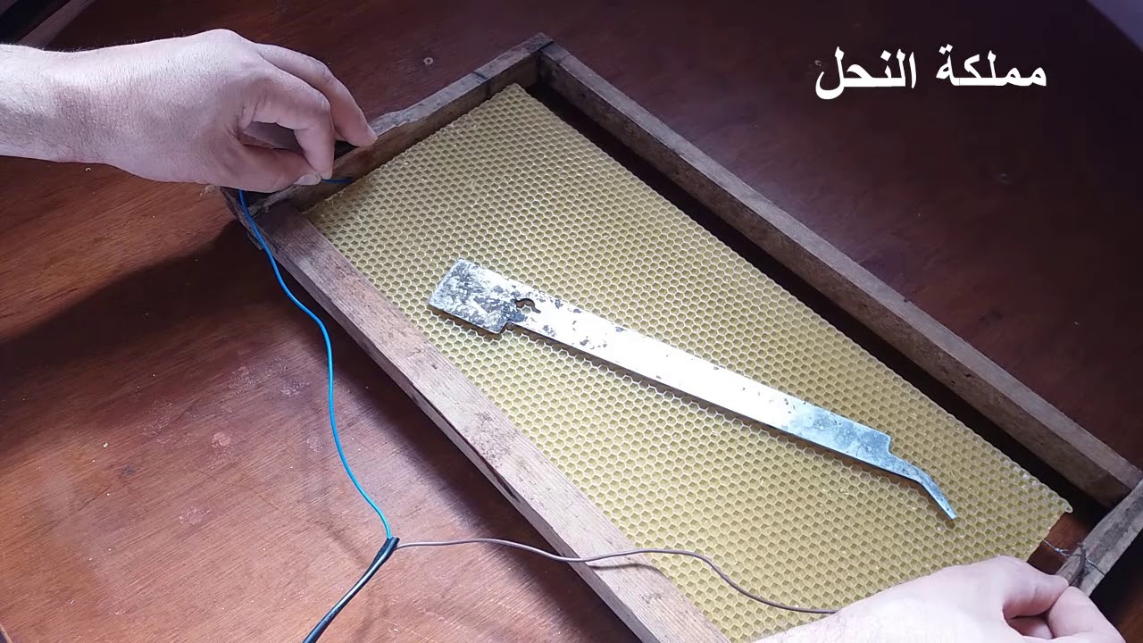 طريقة تركيب شمع الأساس للنحل/ تركيب أساس شهد العسل في خلايا النحل