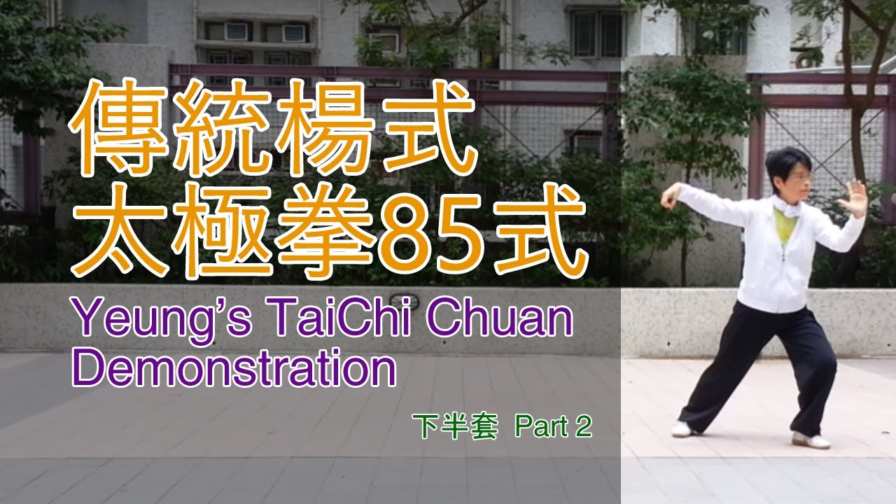 傳統楊式太極拳85式(下半套)