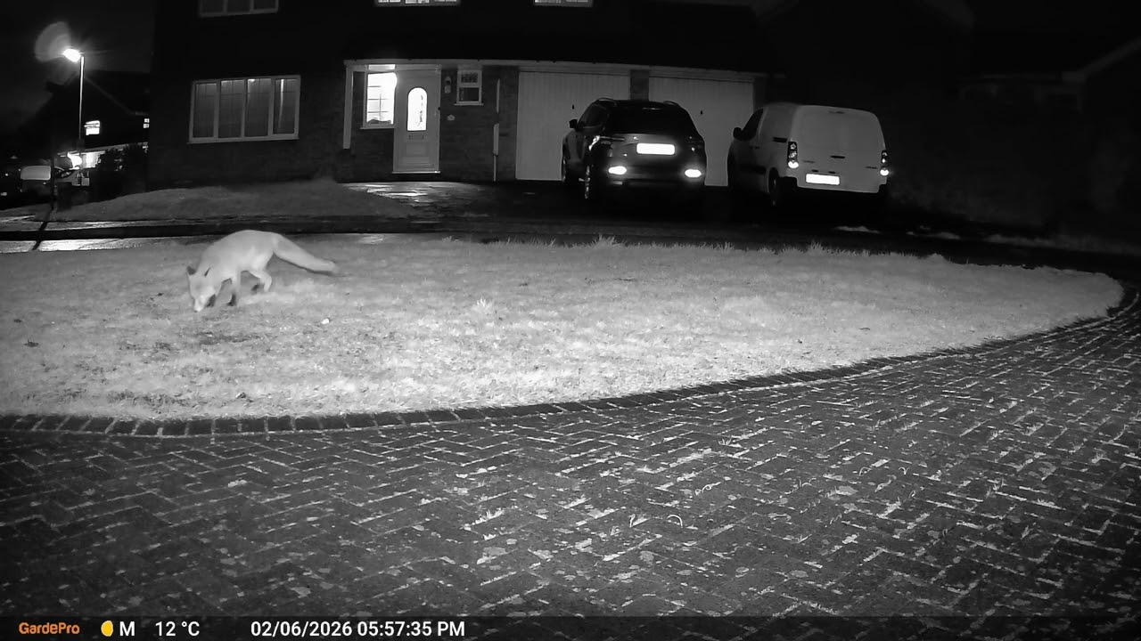 New Cam