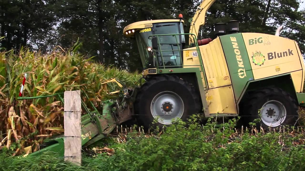 Maissilage 2011-Ein Rückblick