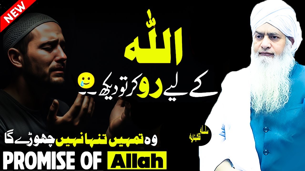 Allah Se Muhabbat Karke Tu Dekho | Peer Zulfiqar Ahmad Naqshabandi | Latest Bayan 2025