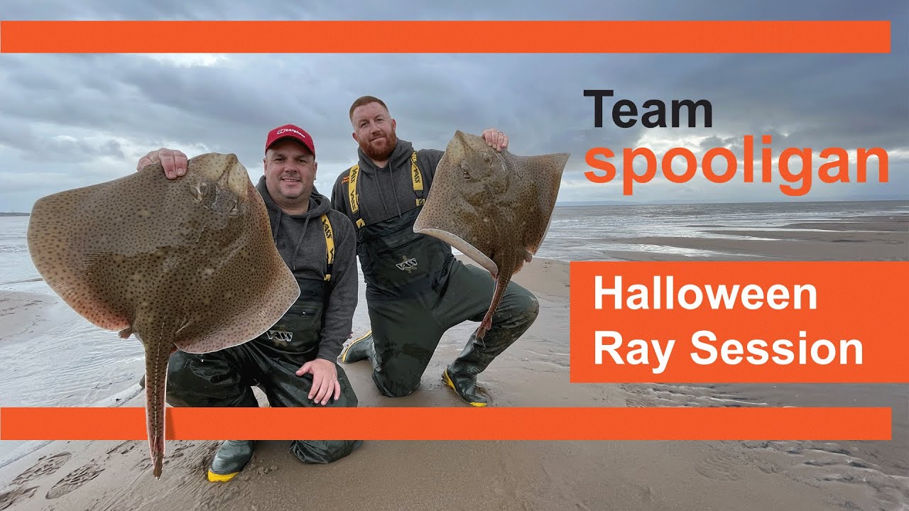Spooligan  |  Sea Fishing South Wales  |  Sully Sand Spit  | Blonde Ray Fishing