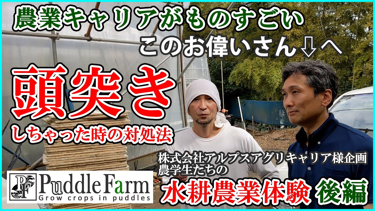 水耕農業の先生のキャリアが想像以上にすごいのでとりあえず頭突きしてみた！～農大生、水耕栽培就農体験：後編～
