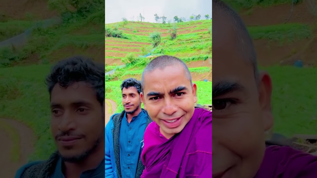 කුමන්ත්‍රනයෙන් අභාවයට ගිය හයිෆොරස්ට් ඇපල් වගාව ?