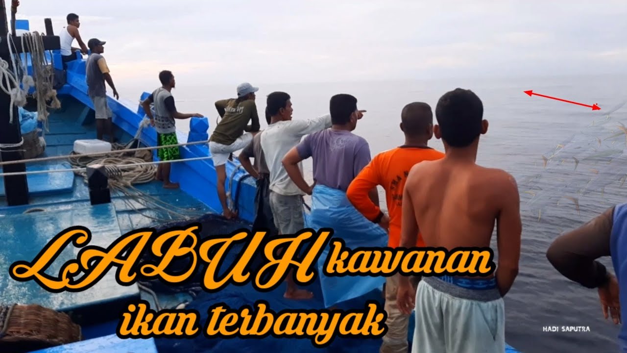 labuh kawanan ikan tongkol terbanyak di tuasan Rumpon