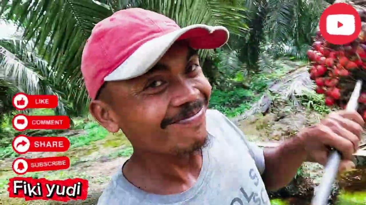 Supir,krani dan pemuat sama sangar nya...Penasaran kaannnn....