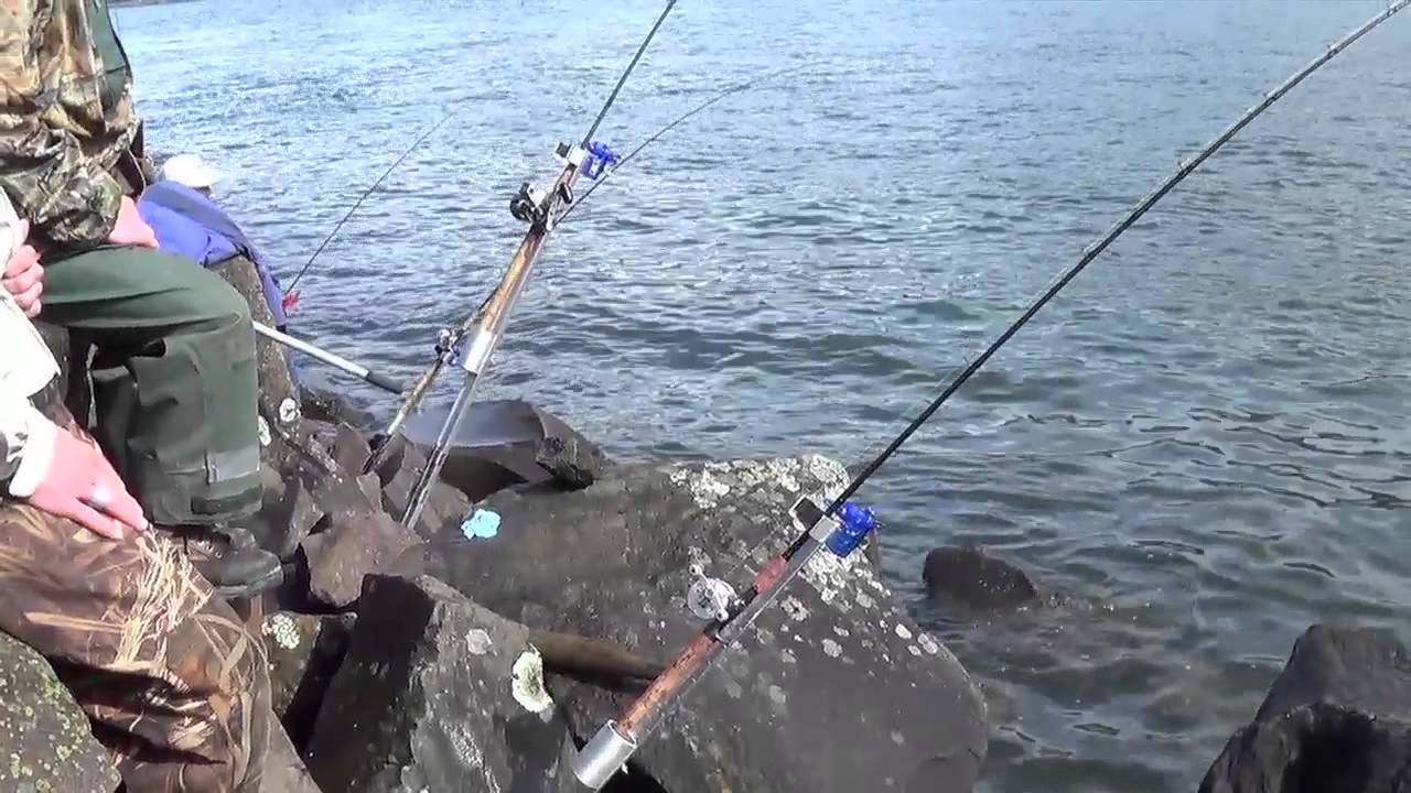 Bank Station - Bank Fishing Rod Holder - Sand Spike - Surf Spike