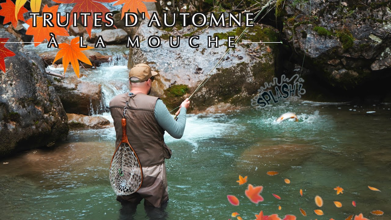 Fermeture TRUITE 2023, TRUITES D’AUTOMNE à la MOUCHE en SUISSE !