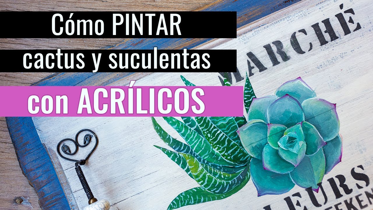 Cómo pintar Cactus y Suculentas con Acrílicos