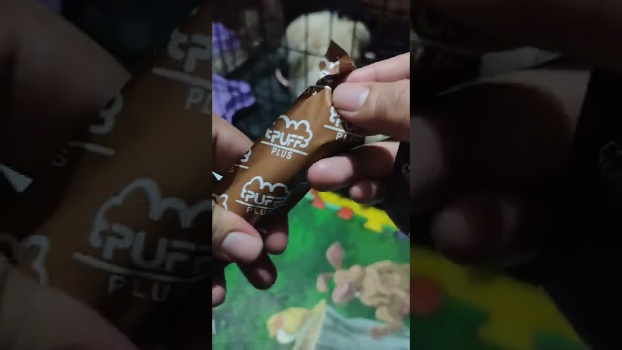 Puff plus unbox with Meeka on background #shorts #vaping #doglover