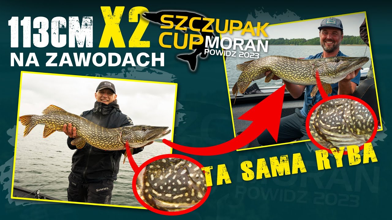 Ta sama Wielka Ryba złowiona 2x na zawodach // Szczupak Cup 2023 okiem sędziego