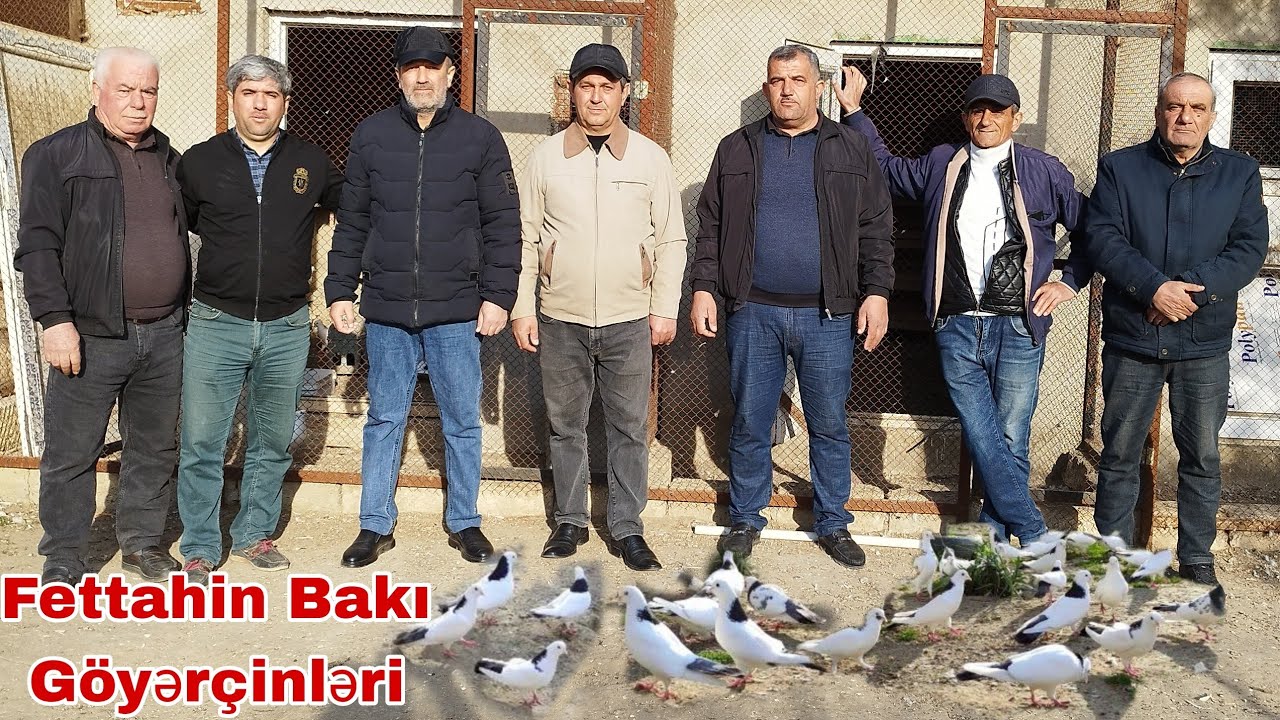 Məhəmmədi Kəndi Bakı Goyercinleri. Fettahin Qonağı Olduq.