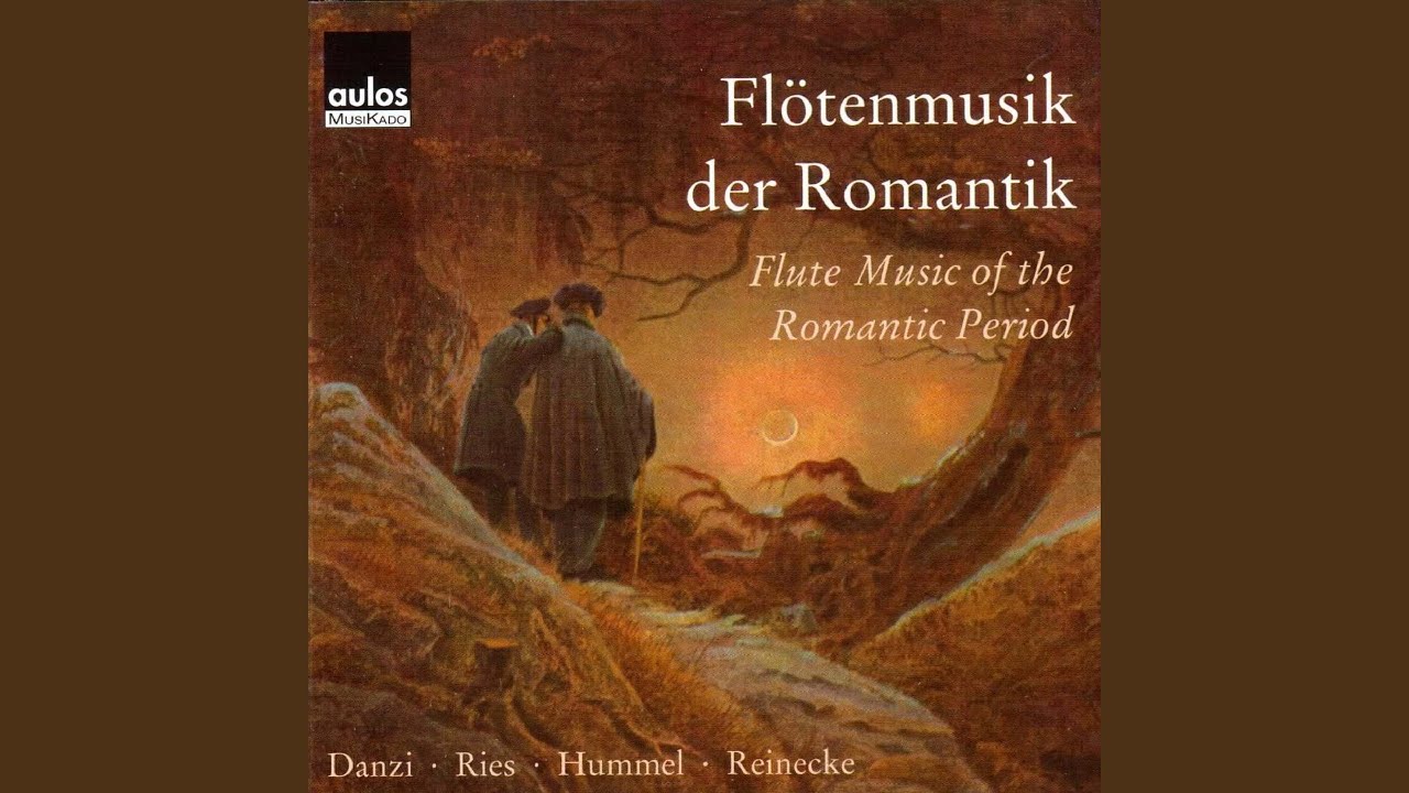 Sonatina for Flute and Piano in D Major, P. 257: Larghetto. Allegretto