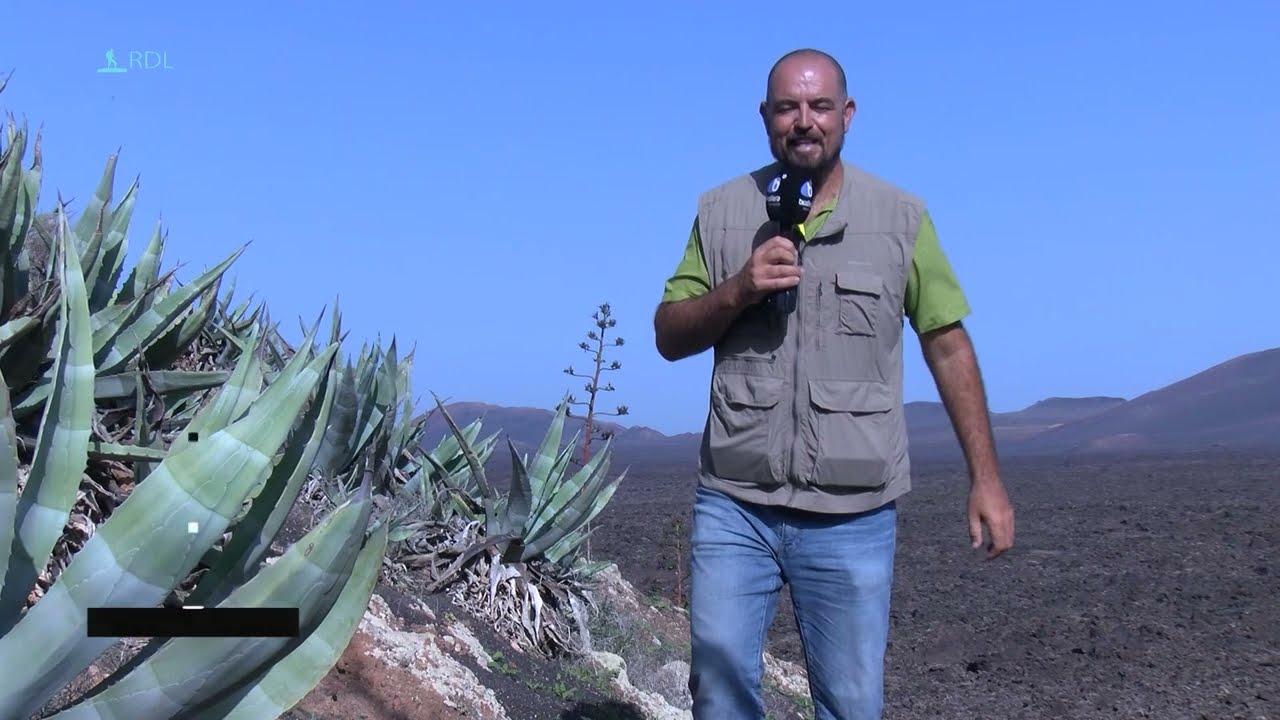 Rincones de Lanzarote-Montaña La Vieja