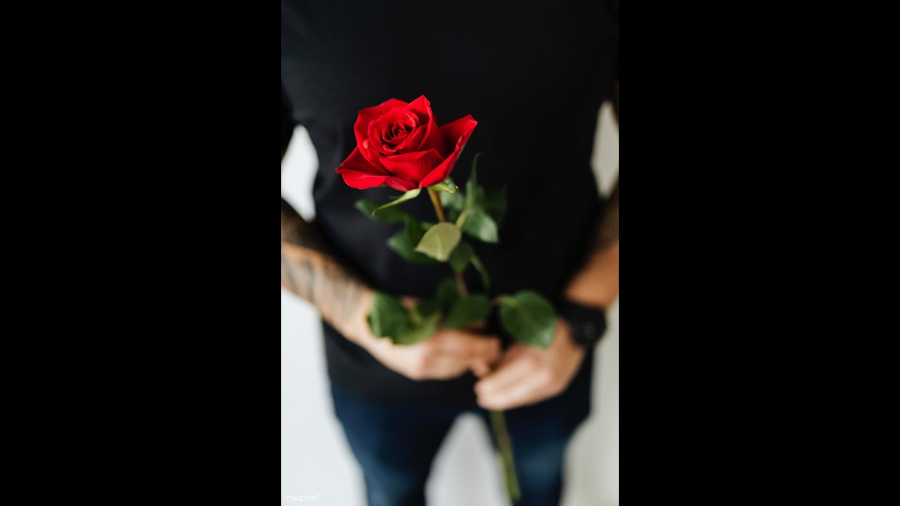 Taurus-"Baby Come back"- Recognizing this connection & the mistakes they made. Wanna make it up 2 U!