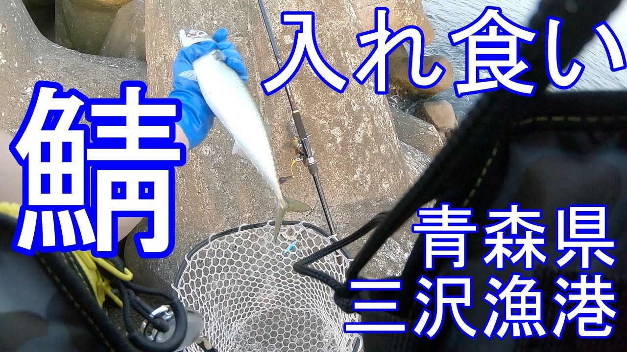 青森県三沢漁港　サバ釣り　入れ食い！