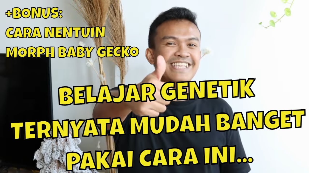 BELAJAR GENETIK DAN MORPH LEOPARD GECKO ALA REPJAK PART 2