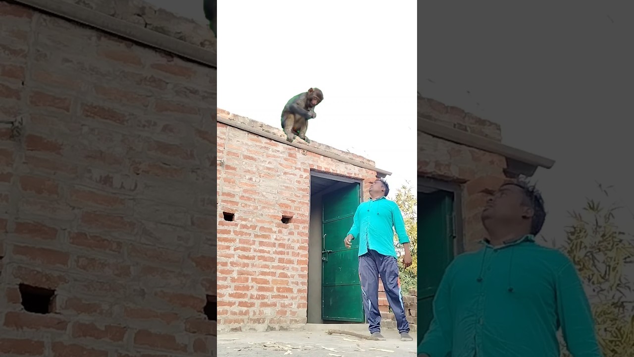 Shri Hanuman chalisa #shortsfeed #vfx