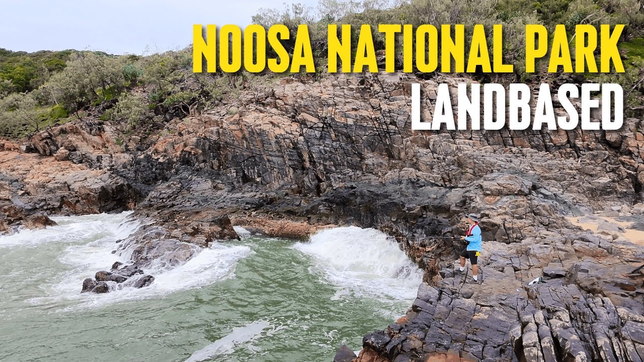 Land Based Fishing | Noosa National Park with a surprise new species