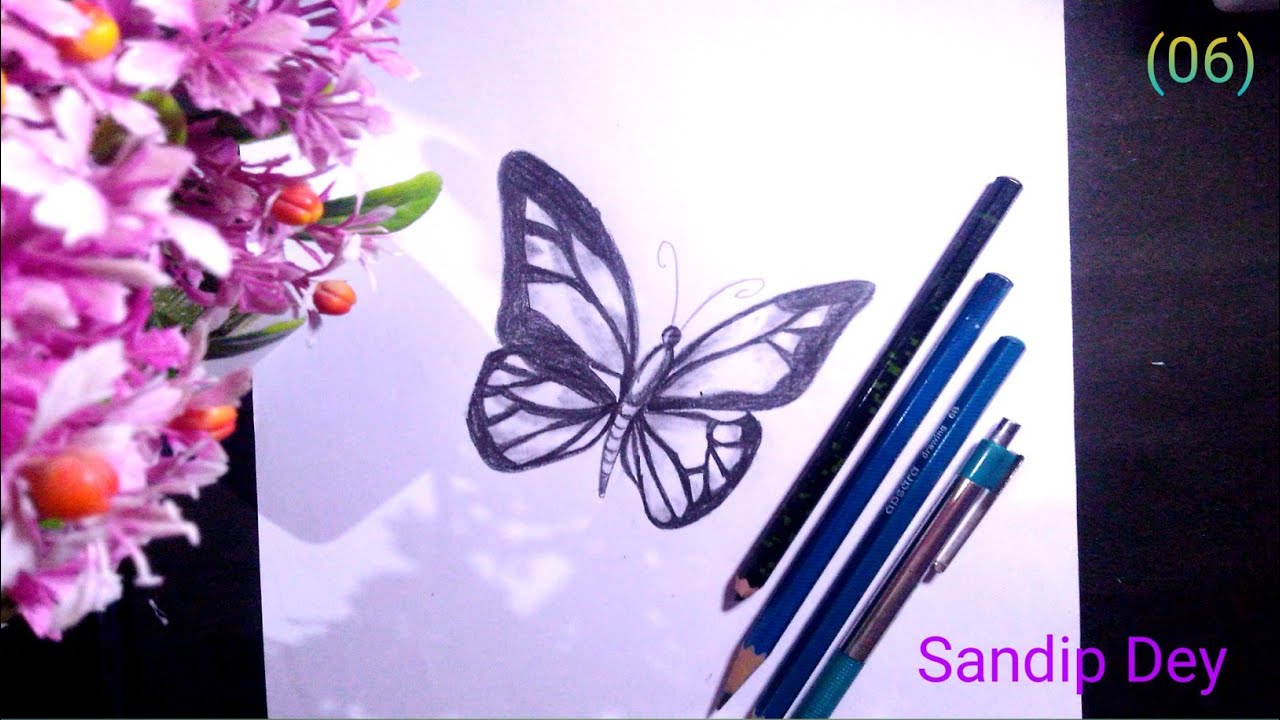 How to Draw Beautiful Butterfly//Daily videos//Sandip Dey