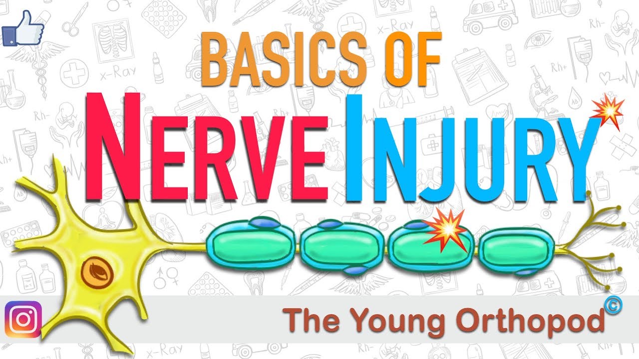 Nerve Injury | Nerve Damage | ANIMATION | Neuron | The Young Orthopod
