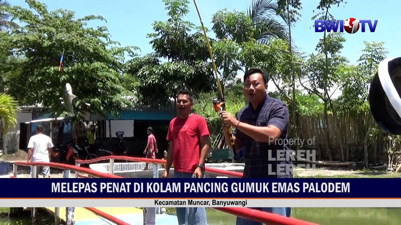 Lereh-lereh Melepas Penat di Kolam Pancing Gumuk Emas Muncar
