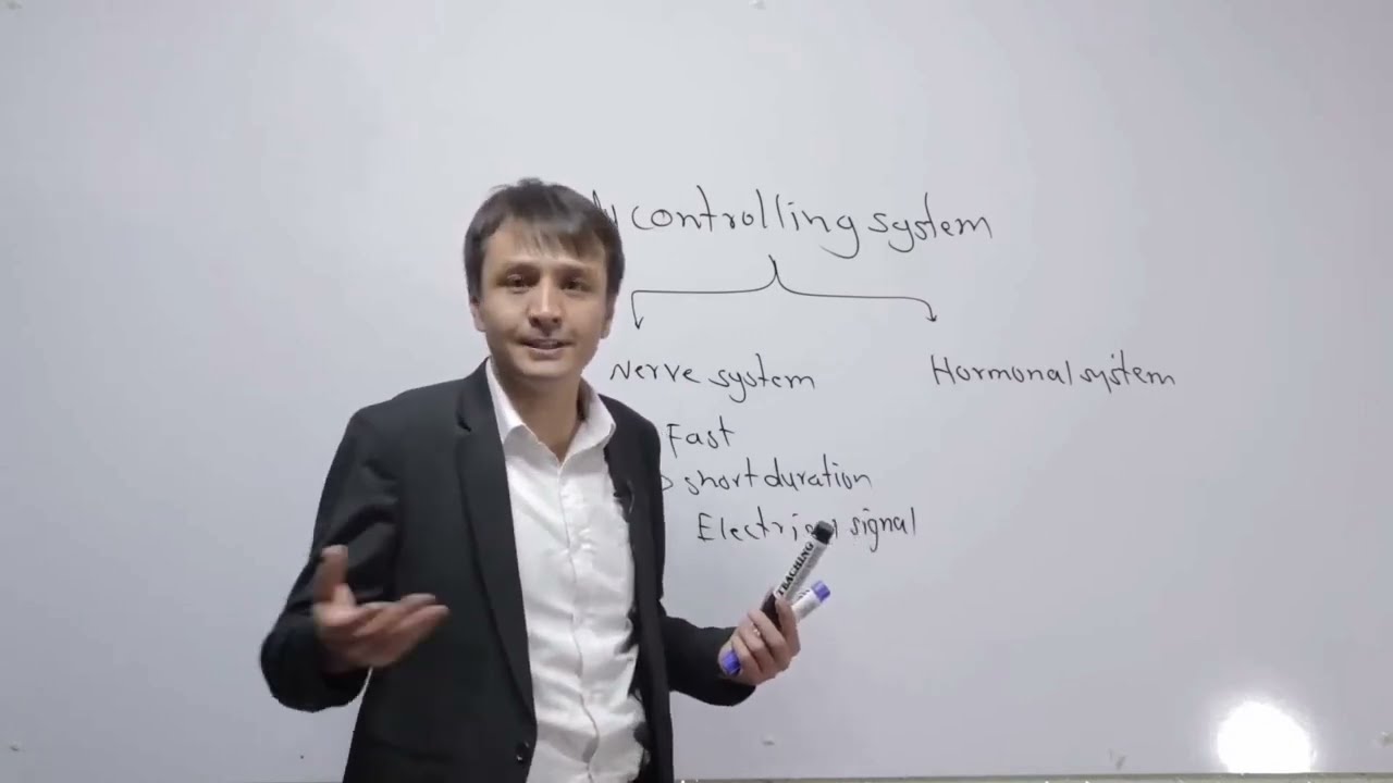Body Controlling system/   سيستم کنترول کننده بدن #medicallectures #doctor