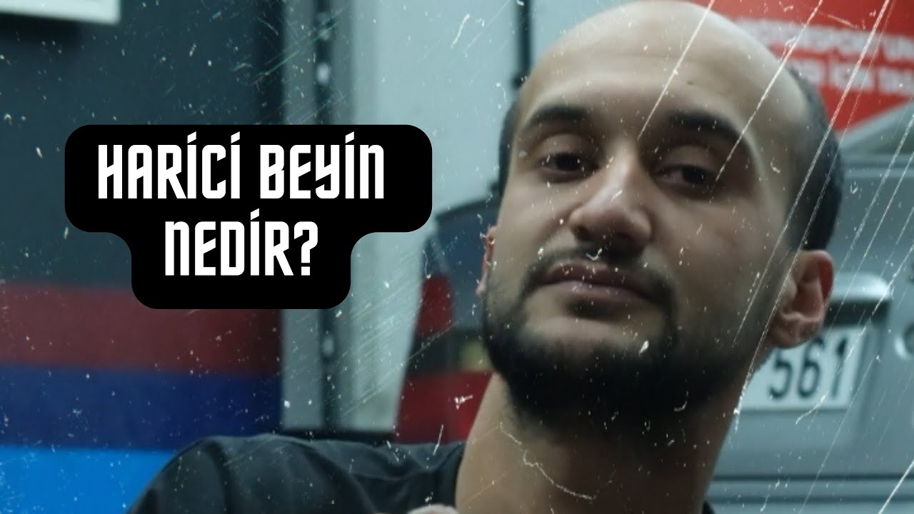 Prime Care Garage: Harici Beyin Nedir? | ECUHARD Ankara Bayisiyiz!