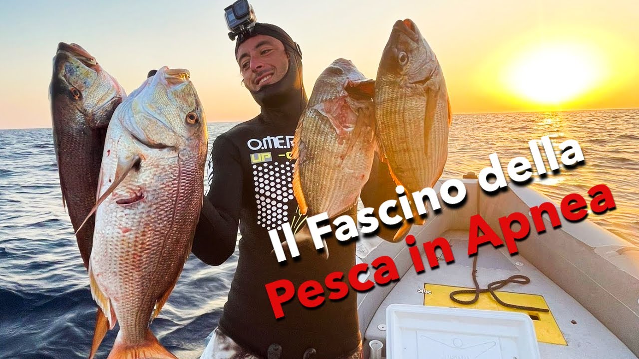 PESCA IN APNEA A -40M IN SICUREZZA! (ACCORGIMENTI IMPORTANTI)