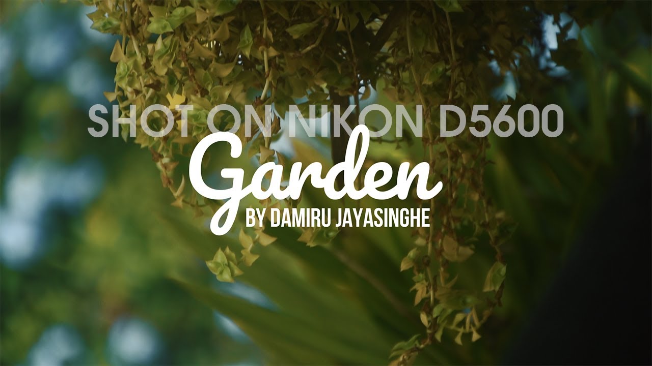 Cinematic Garden B Roll