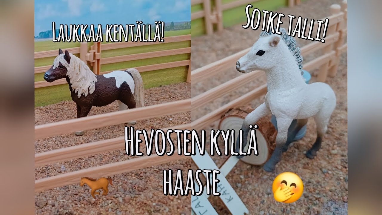 Hevosten kyllä haaste 🤭🐎