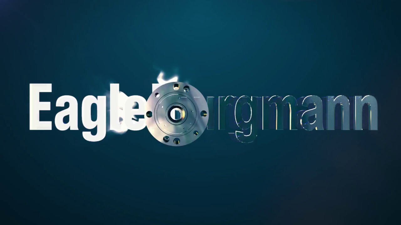 Eagle Burgmann 2017