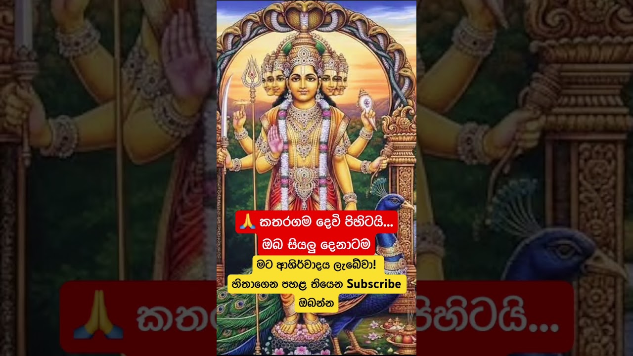 කතරගම දෙවි පිහිටයි 🙏 #shorts #shortsfeed #trending #shortvideo #fyp