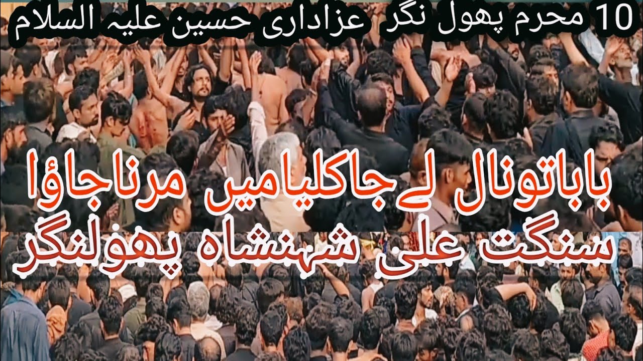 Baba Tu Naal Leja Kalya Main 10Muharam Noha Party Ali Sahan Sha Phool Nagar Azadari Hussain a.s