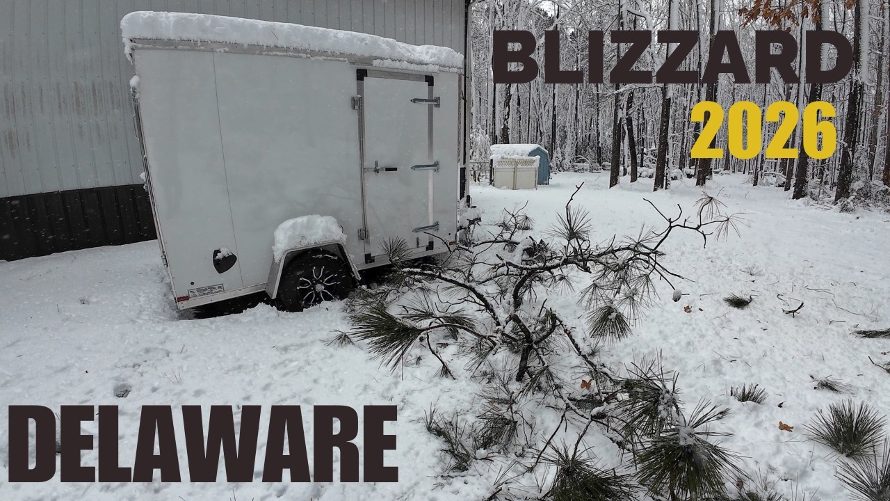 Blizzard 2026 Slams Milton, Delaware – Damage Tour & First Day of Cleanup