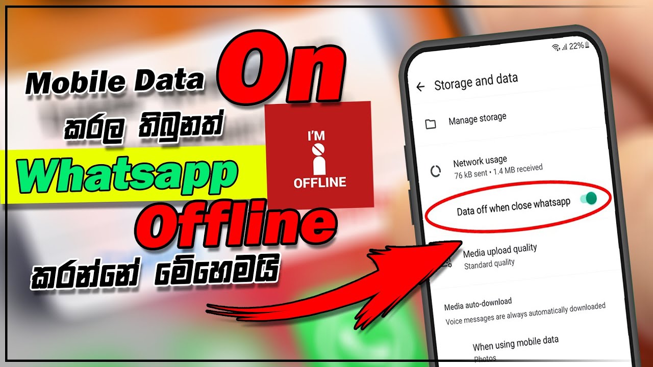 How To Turn Off WhatsApp When Mobile Data Sinhala | WhatsApp data off setting Sinhala | 232
