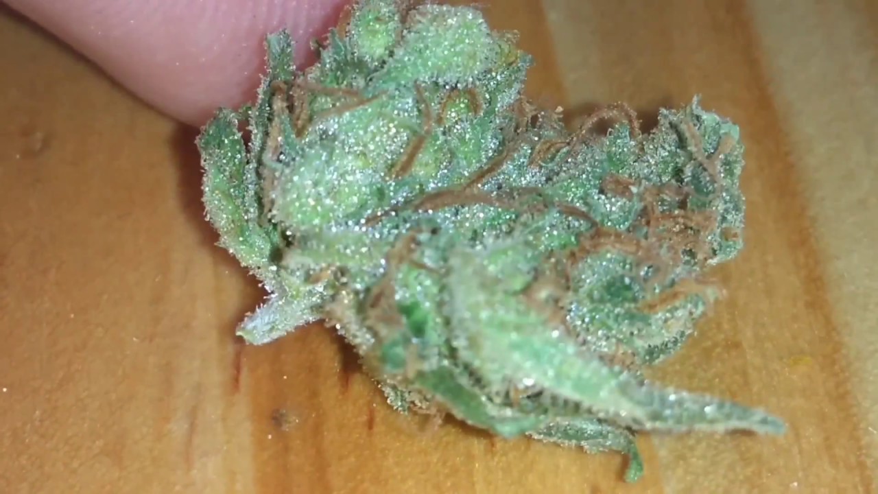 Rolex OG Cannabis - When The Light Hits