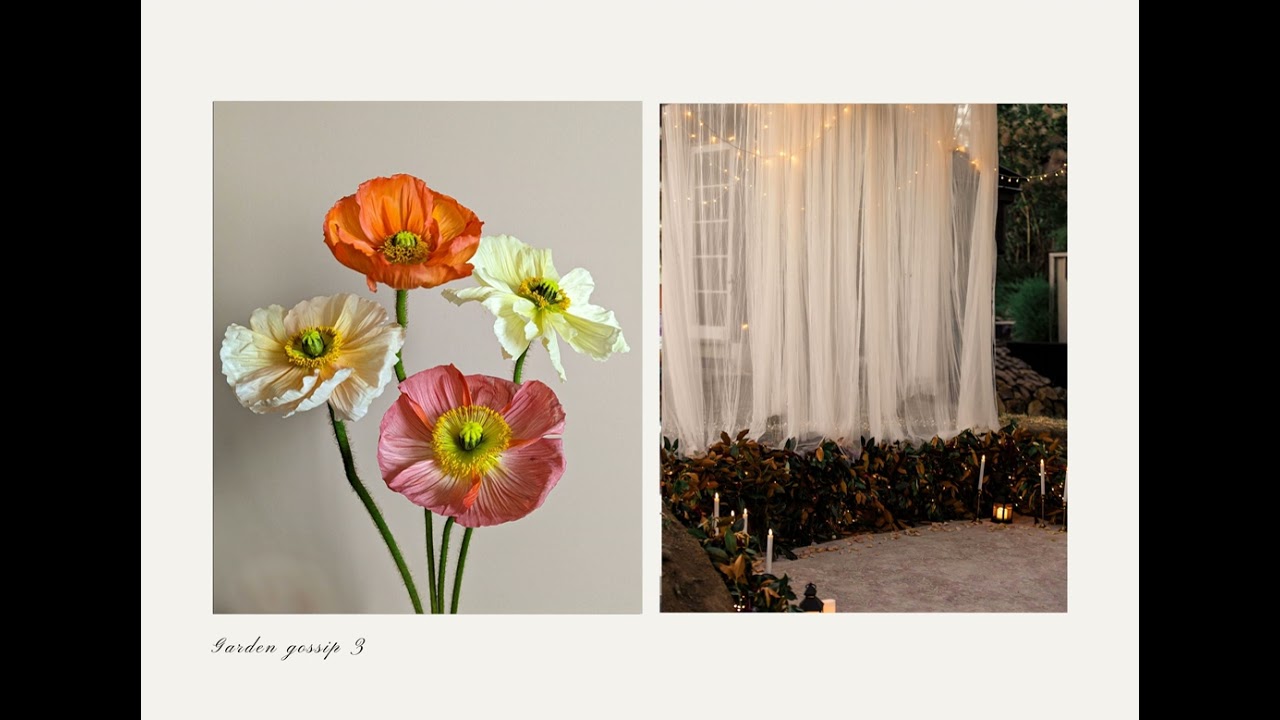 Garden gossip 3
