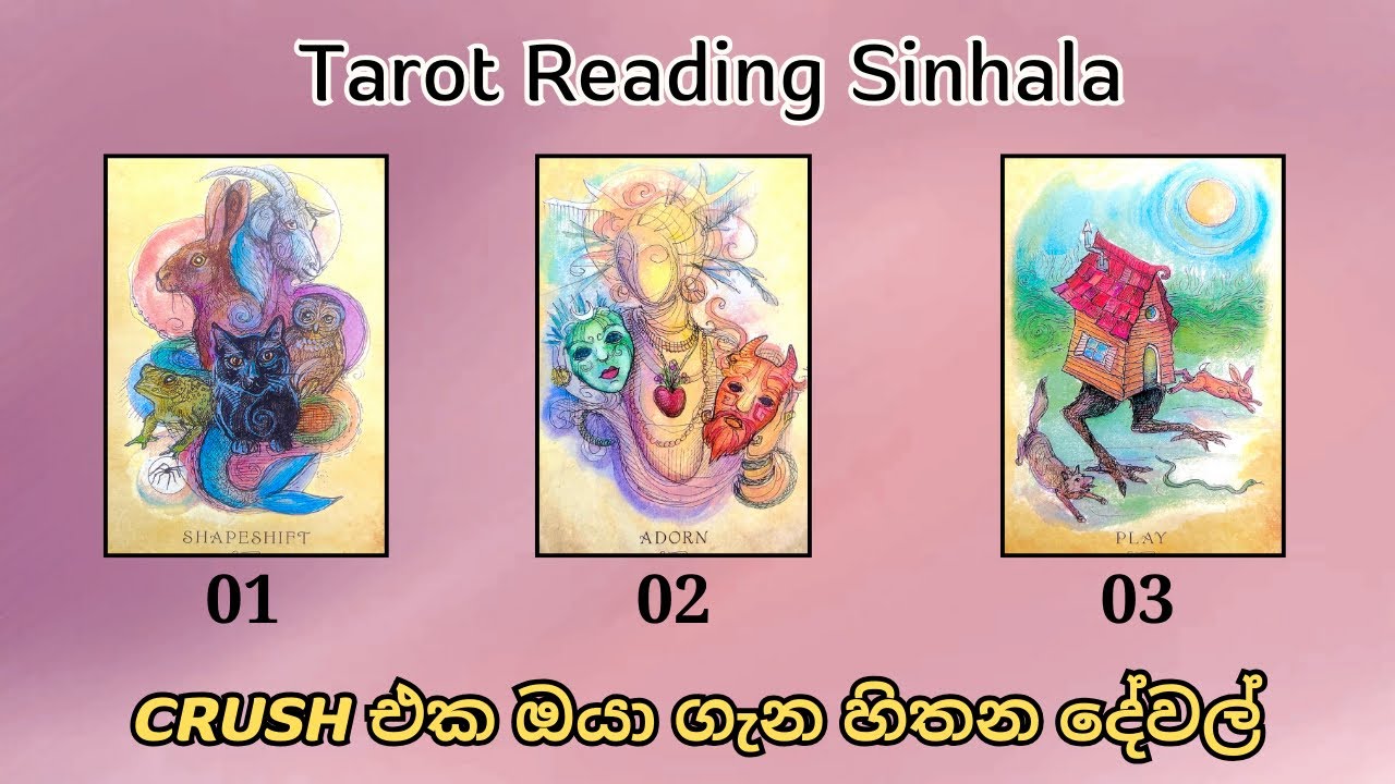 What does your crush think of you ♥️✨ Tarot Reading Sinhala #tarot #srilanka #pickacard