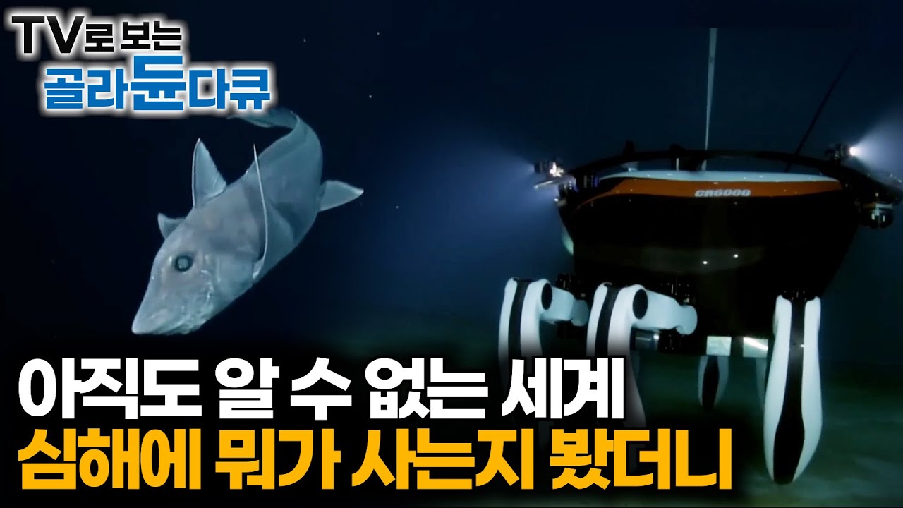 인간은 심해의 5% 밖에 알지 못했다. 또 다른 우주라 불리는 심해 탐구 과정｜과학 다큐 비욘드｜#골라듄다큐