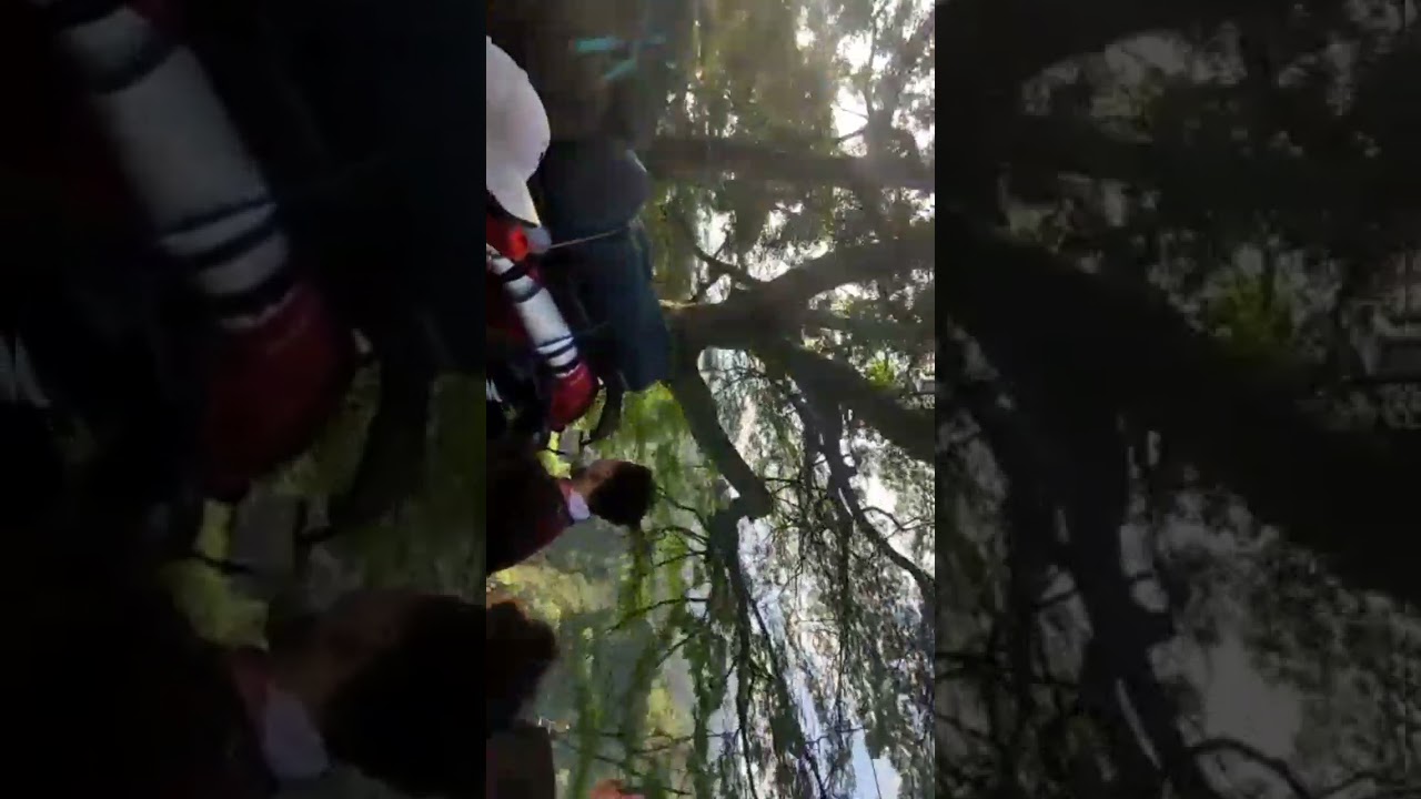 gunung gede semeru | gunung indonesia #shorts #lokalpride