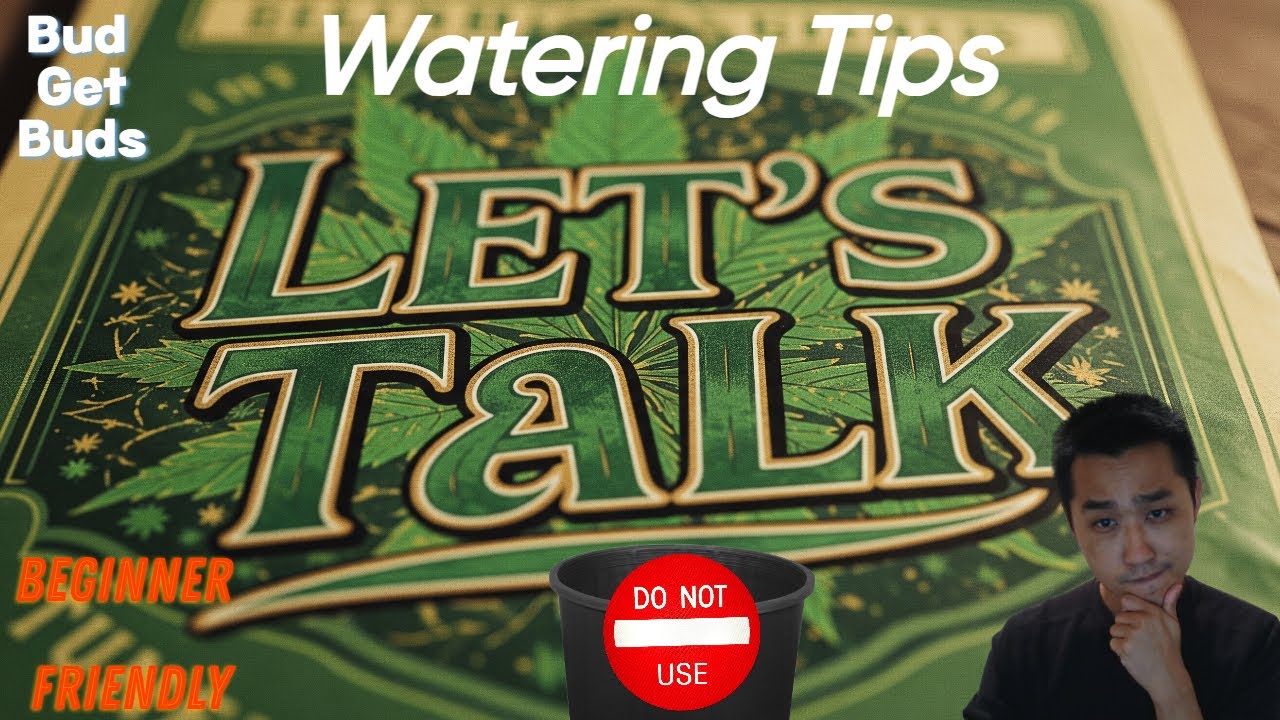 DO NOT USE Plastic pots!! Cannabis watering guide for beginners.