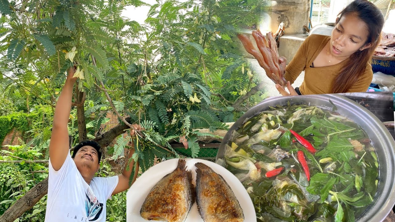 បេះអង្គាស់ដី​ ជុំវិញផ្ទះ​ សម្លម្ជូ​ និងចៀនត្រីកន្ធ​ ញាំបាយ​ #ahmey #food