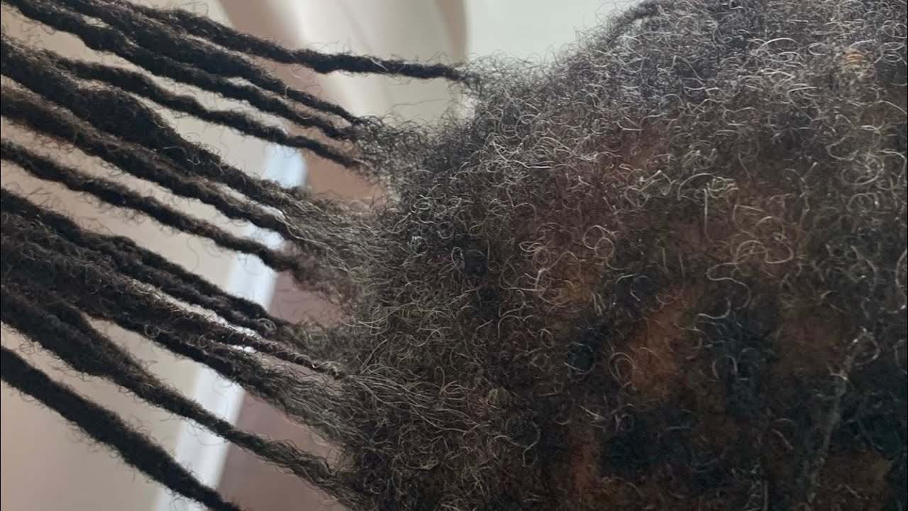 Damaged Dreadlocks Loc Repairs! | Shorts!