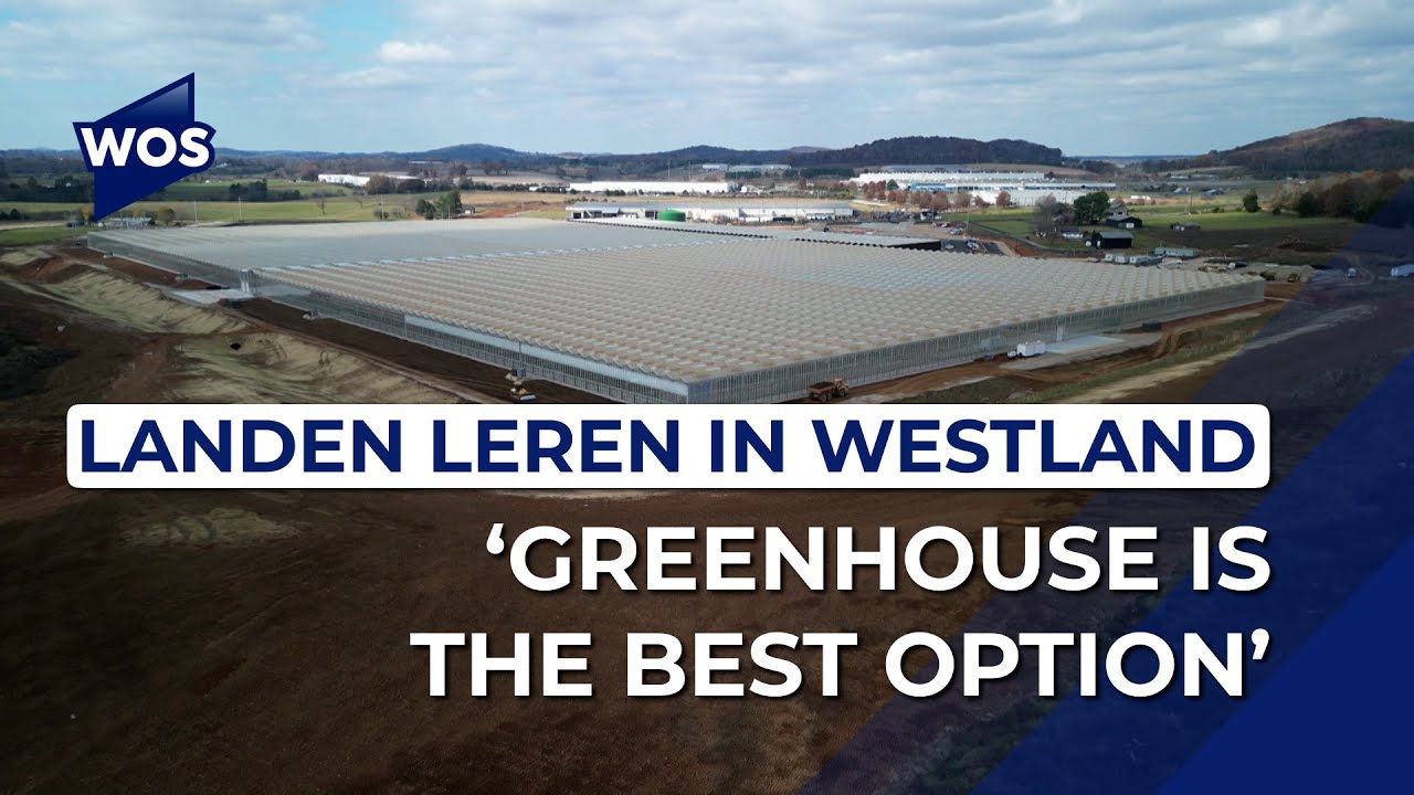 De wereld leert van de Westlandse glastuinbouw: 'Greenhouse is the best option'