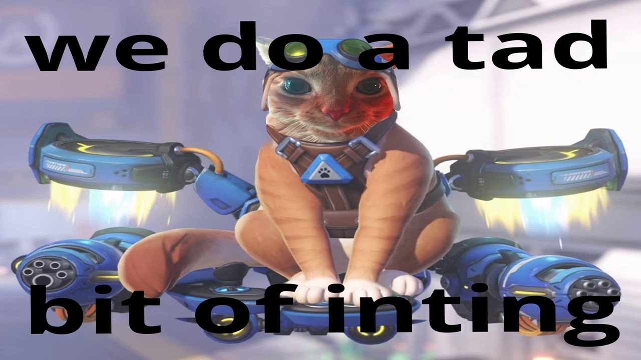 my bad fellas