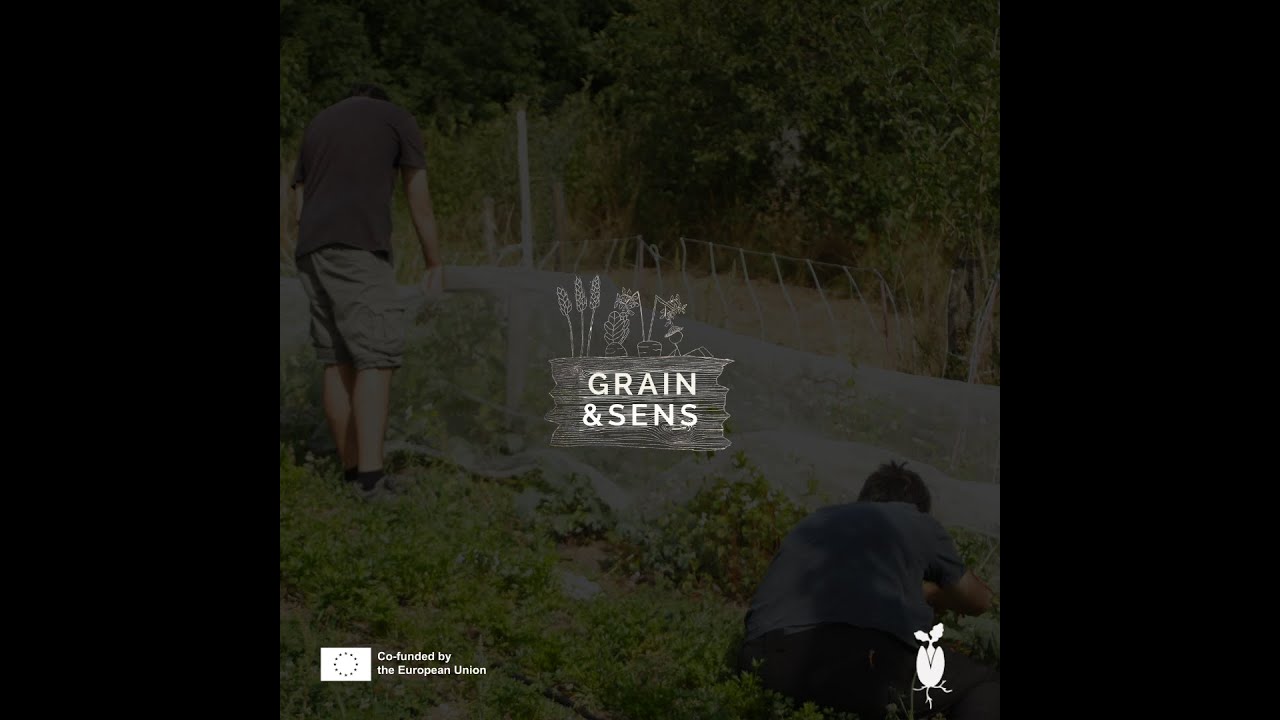 Grain and Sens - (4/4) Discover EU - Ecoexperiences