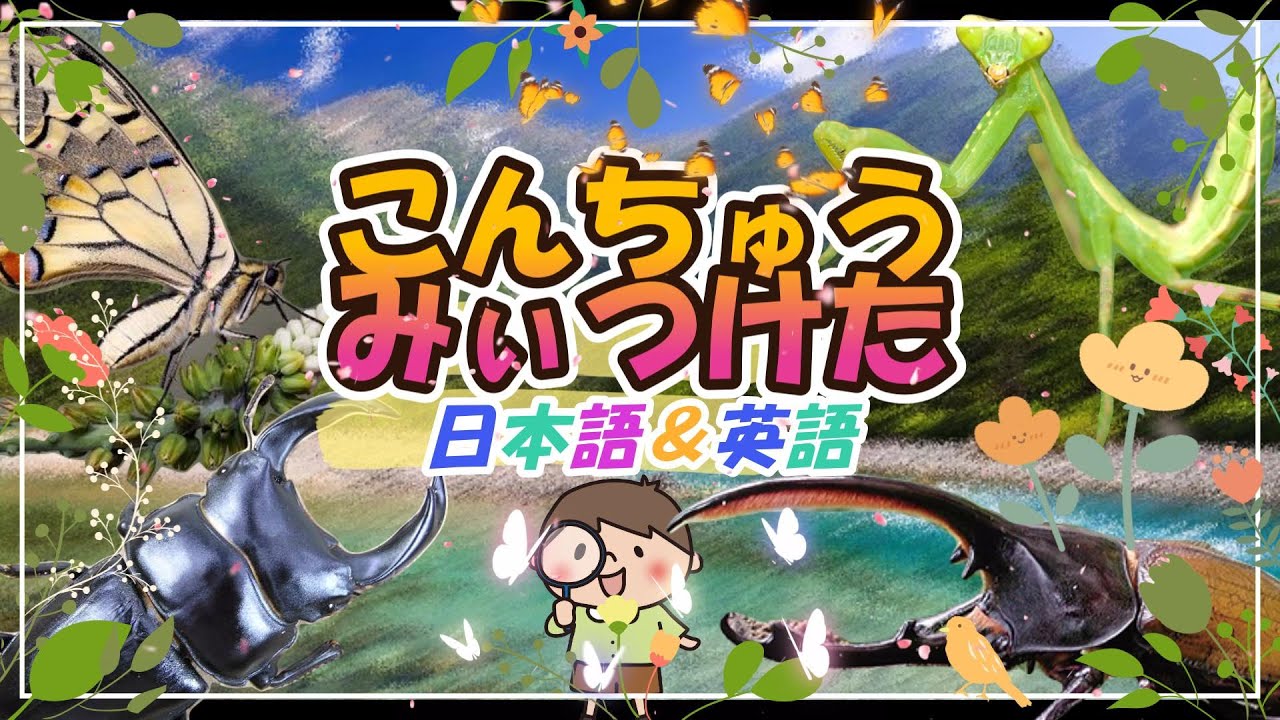 【こんちゅうみいつけた】こんちゅう発見！ こんちゅうのなまえ♪ヘラクレスオオカブト クワガタムシ アゲハ蝶 を日本語＆英語で紹介！