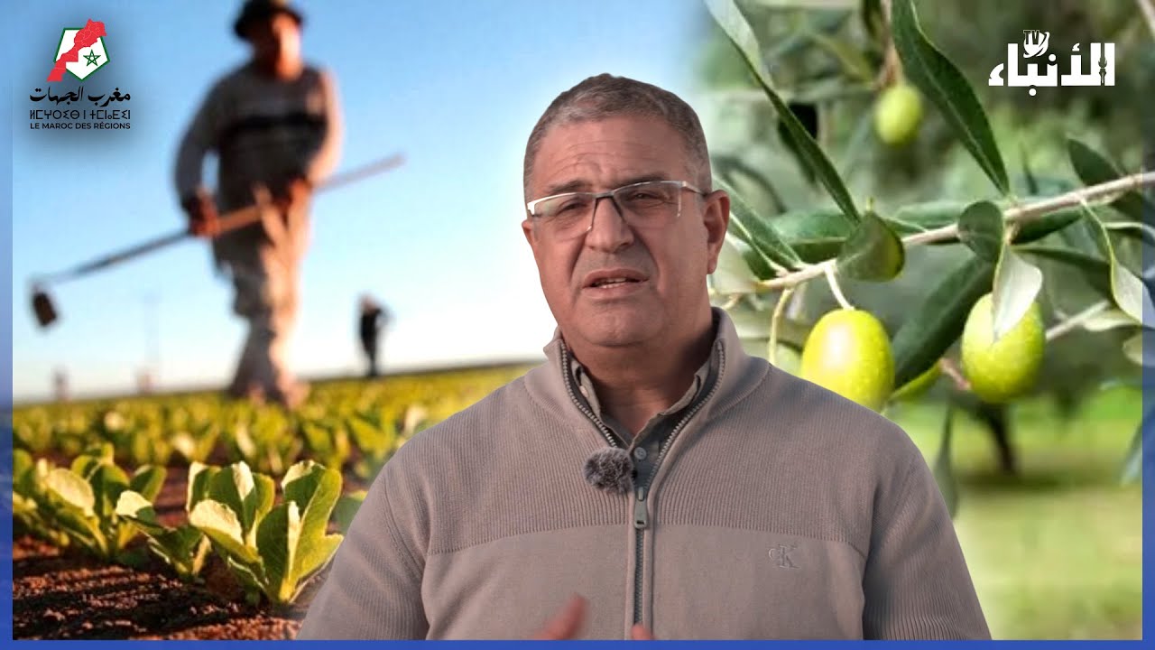 القطاع الفلاحي بجهة طنجة.. مجال واعد ورافعة أساسية لخلق فرص الشغل