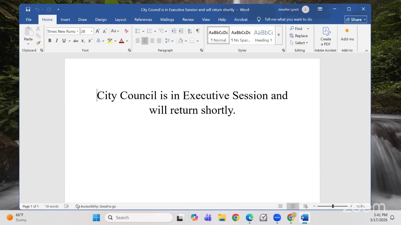Special Called Council March 17, 2026